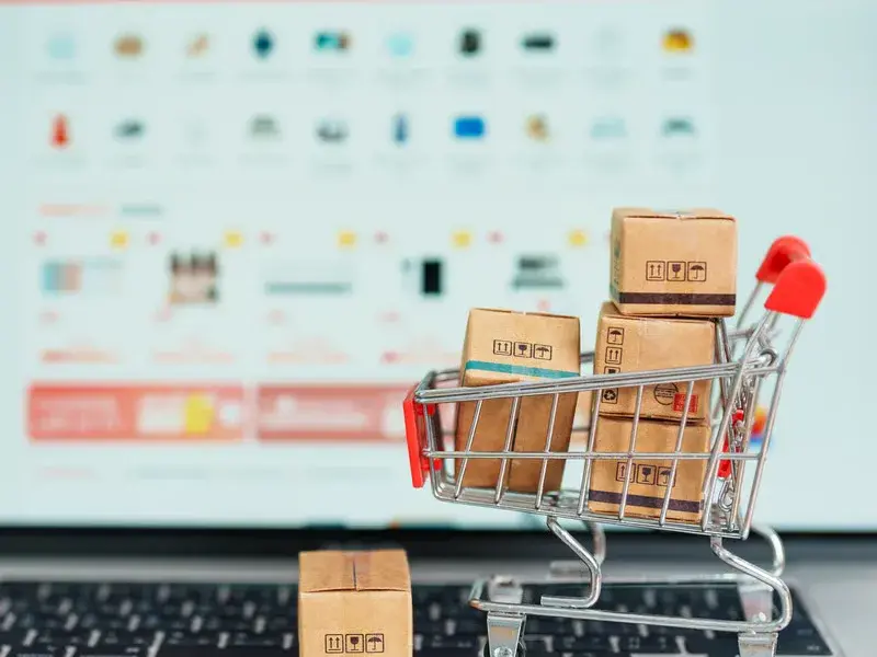 Professional Enterprise SEO Solutions process