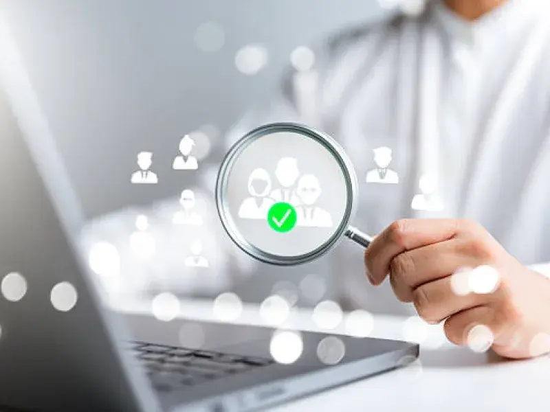 Professional Local Citation Building process