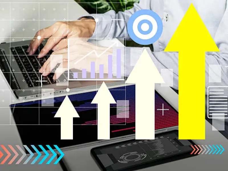 Professional Review Management Service process