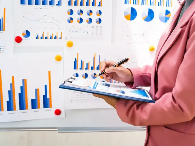 Professional Search Visibility Audit process