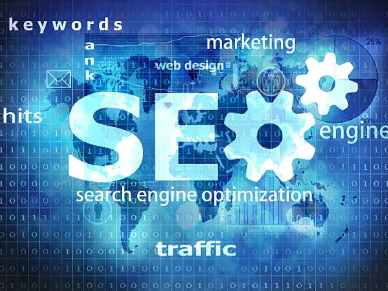 Professional SEO Consultant process