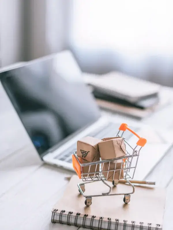 Small Business SEO service in Canberra