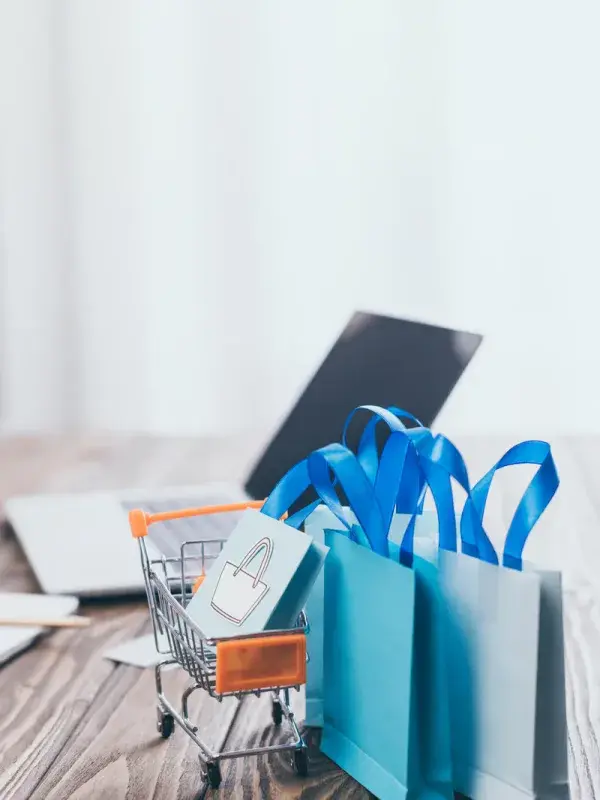 SaaS SEO Services service in Canberra